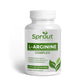 l arginine pre workout - Sprouts supplements